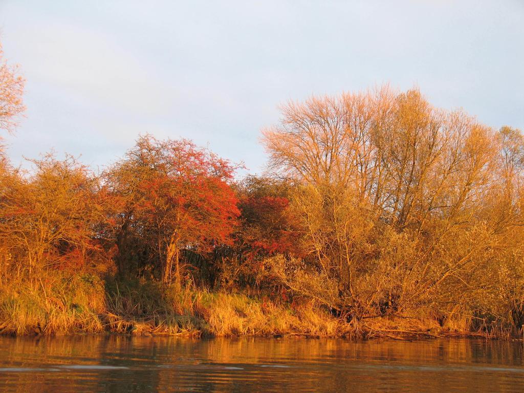Bed And Breakfast De Biesbosch - In 'T Riet Drimmelen Esterno foto